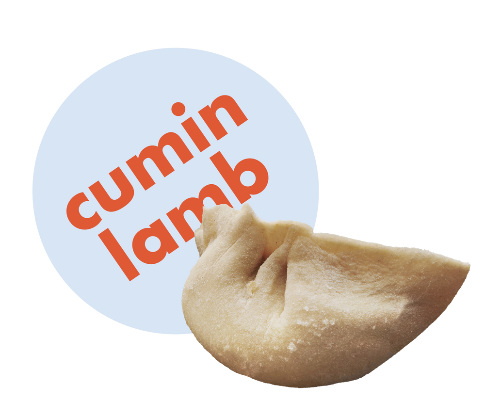 Cumin Lamb Dumplings