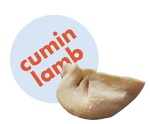 Cumin Lamb Dumplings